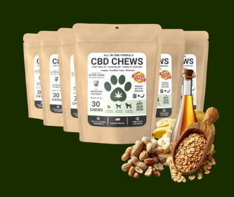 6 Packs of Best Dog All-in-One Formula CBD Chews – Peanut Butter Banana Bliss