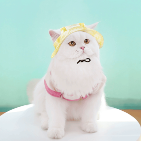 1 pc dog cat sunshade anti pinch hat anti stripping ear adjustable rope buckle fisherman hat pet supplies (Color: Yellow, size: M (Head circumference 34cm, reference 8-13 pounds))